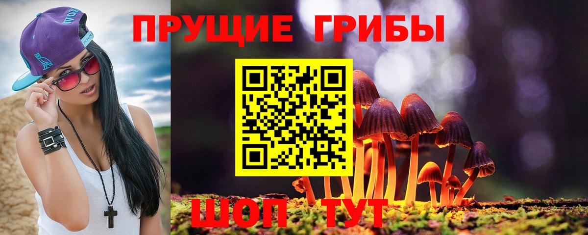 Волхов  Галлюциногенные грибы Magic Shrooms  Вход с VPN 
